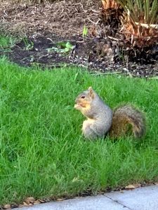 IMG_2145